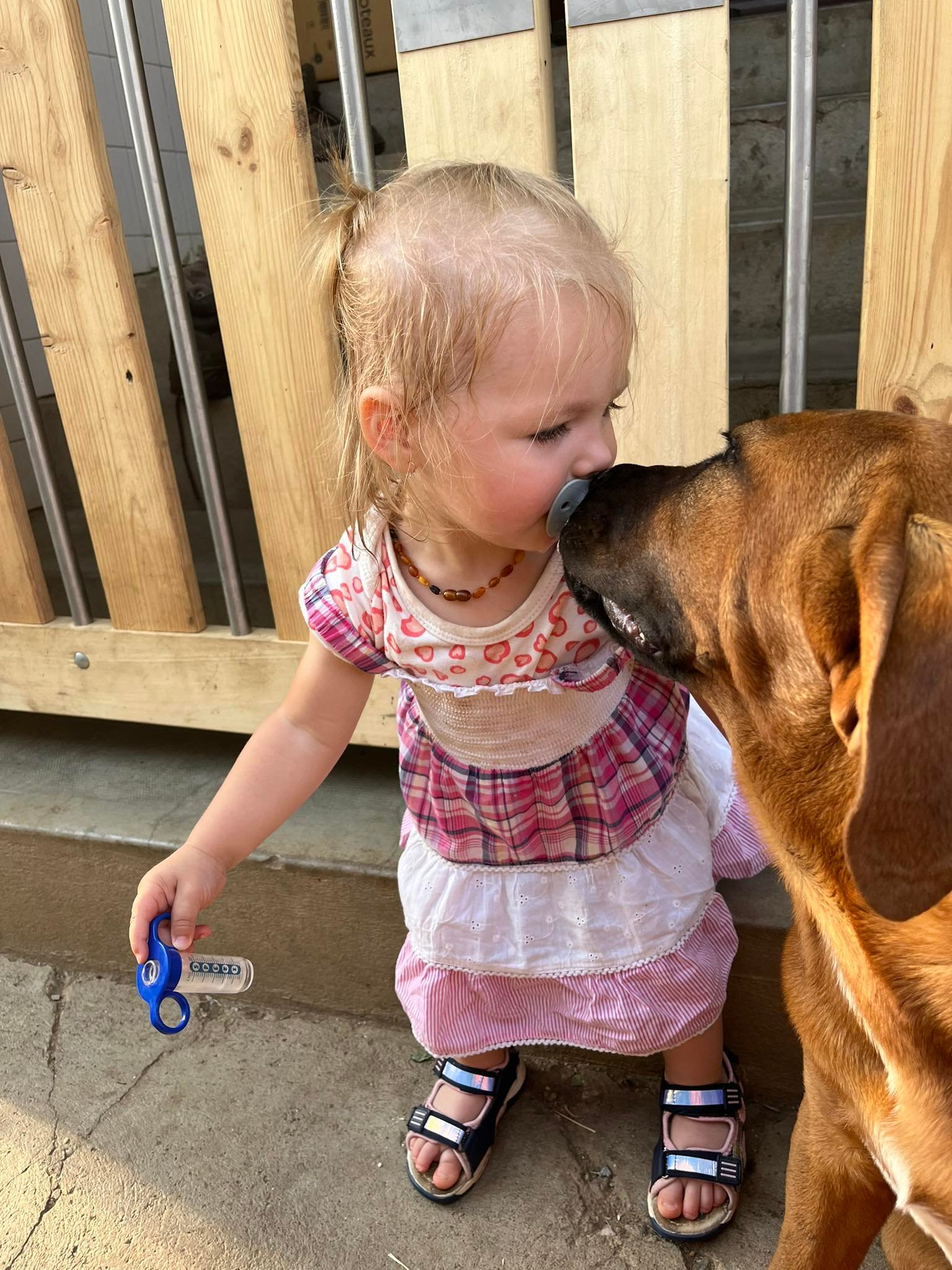 Bemerészkedjek a kertbe?